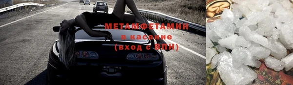 мет Алексин