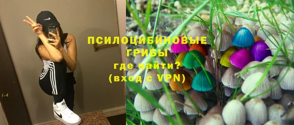 мет Алексин